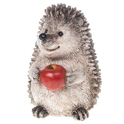 Country Hedgehog With Apple.